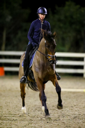 MELBOURNE, AUSTRALIA - July 26 2023: A female practices on her horse in an arena at night - Australian Stock Image
