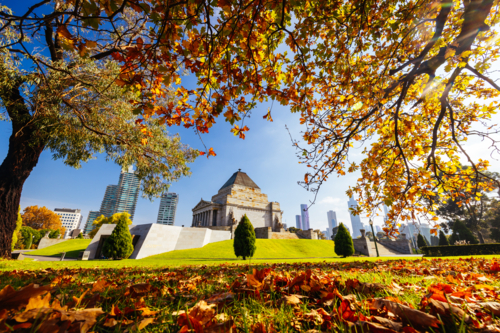 MELBOURNE, AUSTRALIA - MAY 5 2024: The Shrine of Remembrance and surrounding parklands and gardens - Australian Stock Image