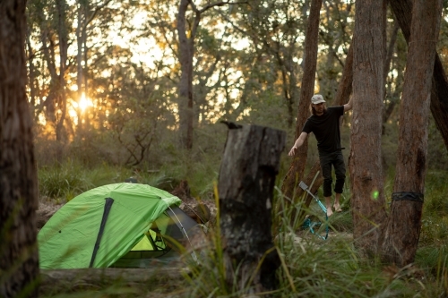 Men camping in bush