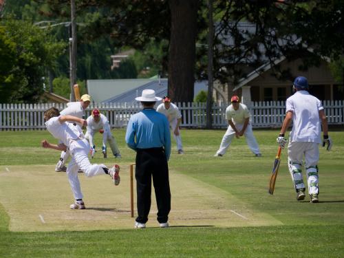 Men playing cricket - Australian Stock Image