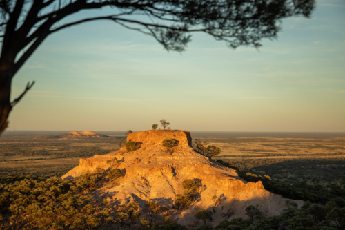 Mesa hill framed by tree - Australian Stock Image