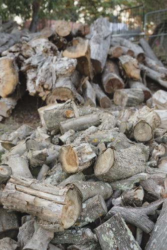 Messy pile of dry firewood
