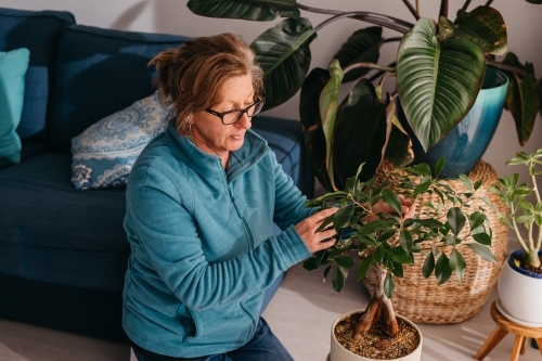 Middle aged woman tending to her plant, watering with spray bottle - Australian Stock Image
