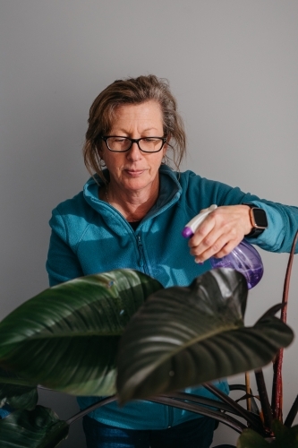 Middle aged woman tending to her plant, watering with spray bottle - Australian Stock Image