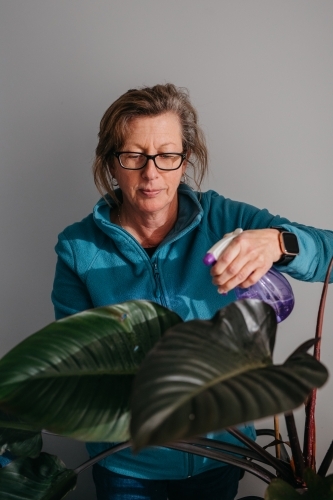 Middle aged woman tending to her plant, watering with spray bottle