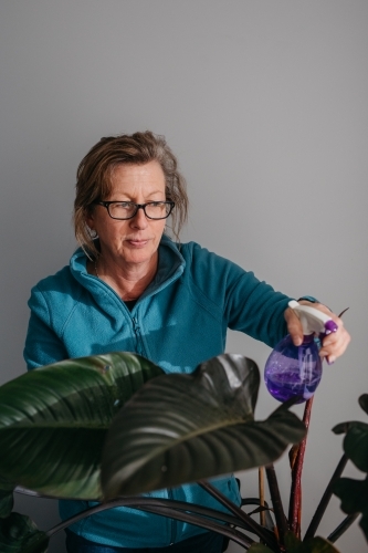 Middle aged woman tending to her plant, watering with spray bottle - Australian Stock Image