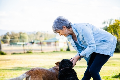 Middle aged woman training dogs outside