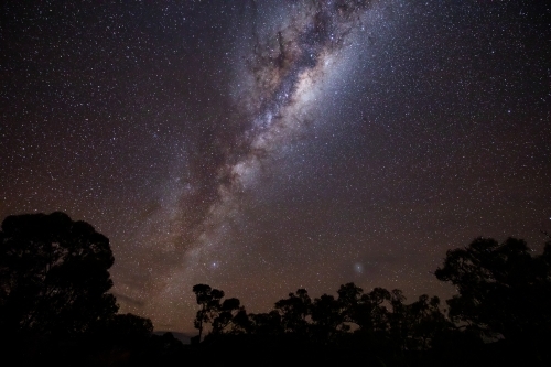 Milky Way over tree silhouettes - Australian Stock Image