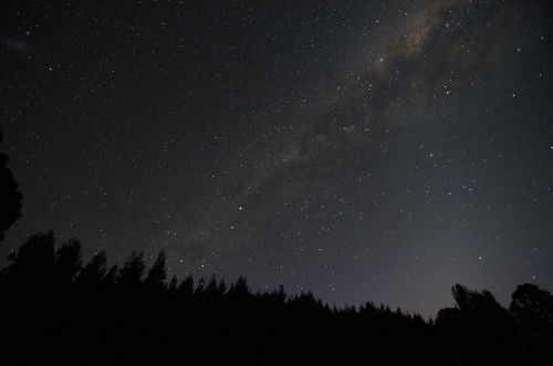 Milky Way Starry Sky Over Forest Silhouette - Australian Stock Image