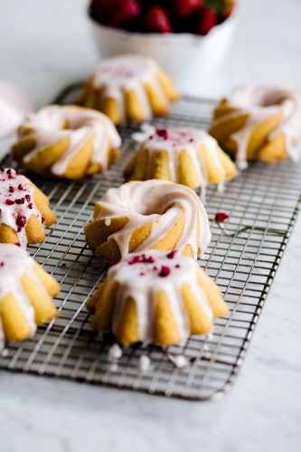 Mini iced bundt cakes on baking rack - Australian Stock Image