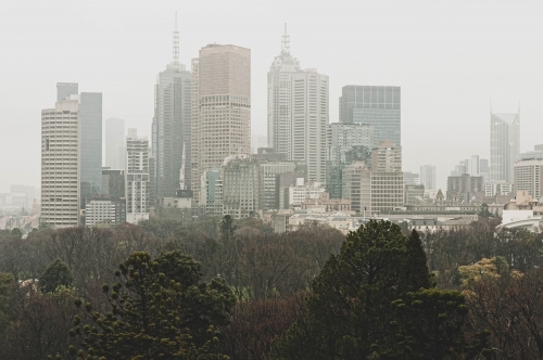 misty city views of melbourne with gardens in the foreground