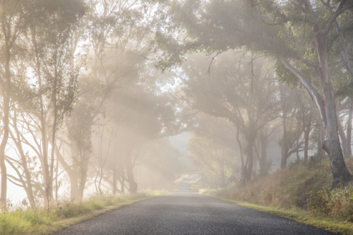 Misty early mornings, and country roads - Australian Stock Image
