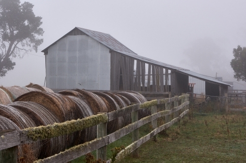 Misty Farmyard in NW Tasmania