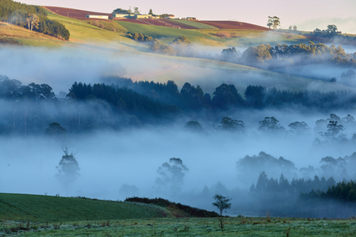 Misty landscape in rural Tasmania - Australian Stock Image