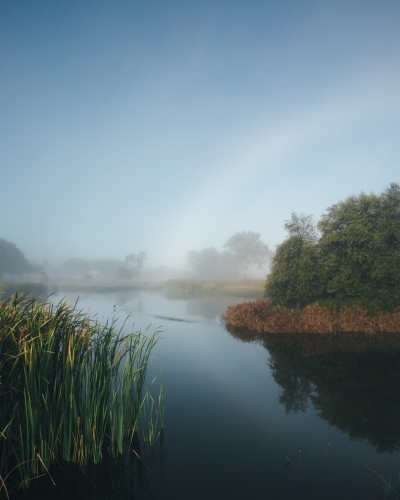 Misty morning beside a river with calm water, reeds and trees - Australian Stock Image