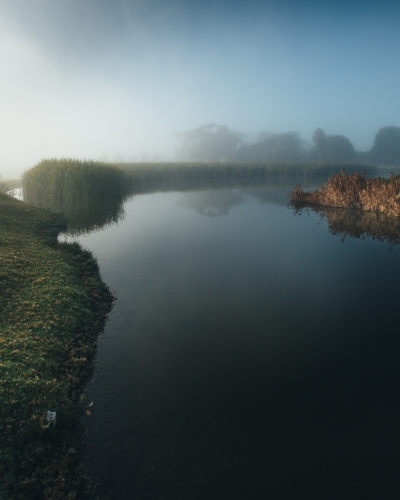 Misty morning beside a river with calm water, reeds and trees - Australian Stock Image