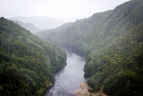 Misty view of the Pieman River winding through dense forest - Australian Stock Image