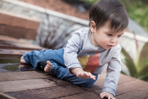 Mixed race 1 year old baby boy plays happily in his suburban backyard - Australian Stock Image