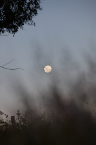 Moon rising over landscape - Australian Stock Image
