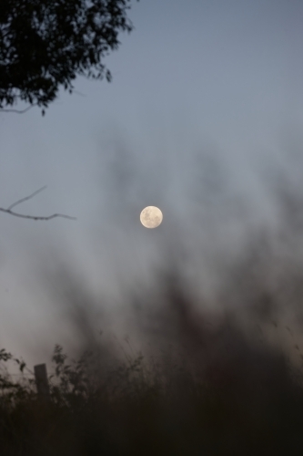 Moon rising over landscape