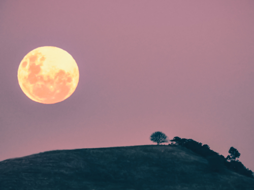 moonrise mt annan - Australian Stock Image