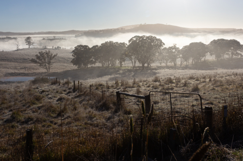 Morning fog illuminated by sunlight in regional Australia - Australian Stock Image