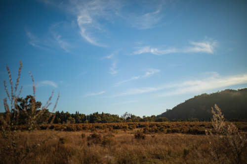 Morning fog rising over remote Australian countryside - Australian Stock Image