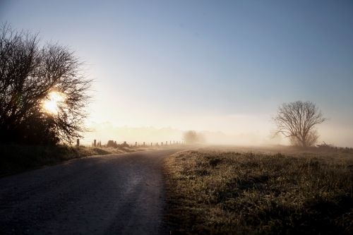 Morning Light along country road