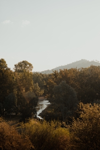 Morning light hits trees looking over Tumut River and Nimbo Creek junction between Tumut and Gundaga - Australian Stock Image