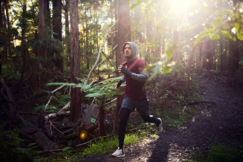 Morning Run in the woods - Australian Stock Image