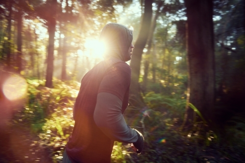 Morning Run in the Woods / Forest / Bush - Australian Stock Image