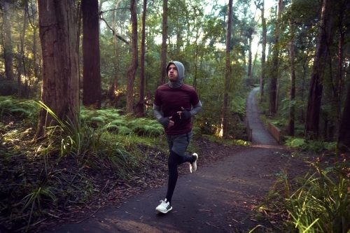 Morning Run in the Woods / Forest / Bush - Australian Stock Image