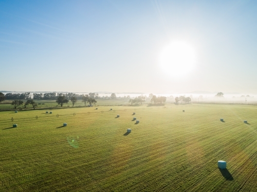 Morning sunshine over country scene of silage bales in farm paddock with mist on horizon - Australian Stock Image