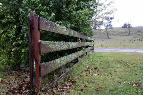 Moss on wet wooden fence in the countryside - Australian Stock Image