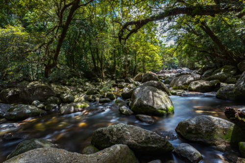 Mossman river flowing amongst the boulders at Mossman Gorge - Australian Stock Image