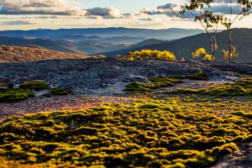 Mossy Rocks with View - Australian Stock Image