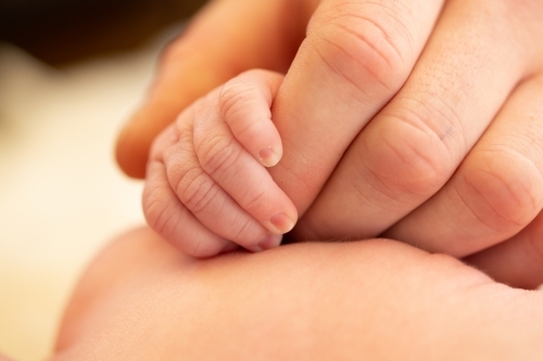 Mother's hand holding tiny newborn baby's hand - Australian Stock Image