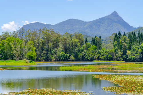 Mount Warning, Wollumbin, near Murwillumbah in northern New South Wales, Australia - Australian Stock Image