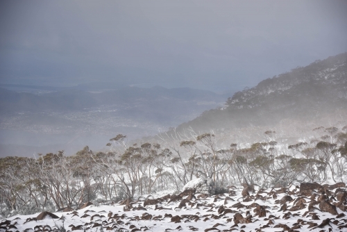 Mount Wellington,Tasmania summit views over Hobart on the snowy ,misty mountain
