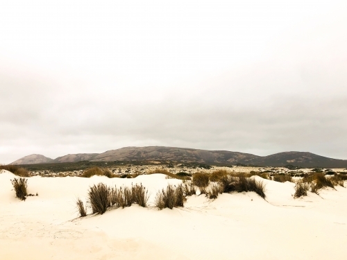 Mountain range seen in the background of sandy desolate foreground in warm tones - Australian Stock Image