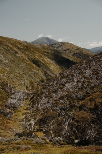 Mountain views at the start of the Razorback Hiking Trailhead to Mount Feathertop. - Australian Stock Image