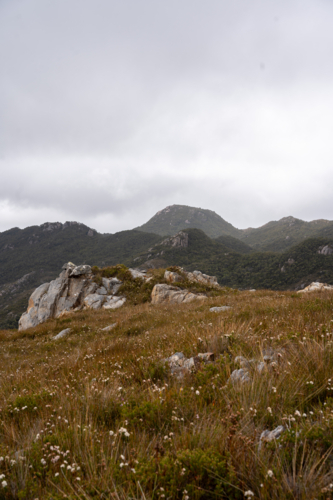 Mountains around Trial Harbour - Australian Stock Image