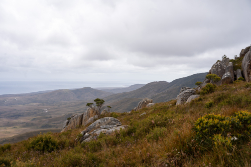 Mountains around Trial Harbour - Australian Stock Image