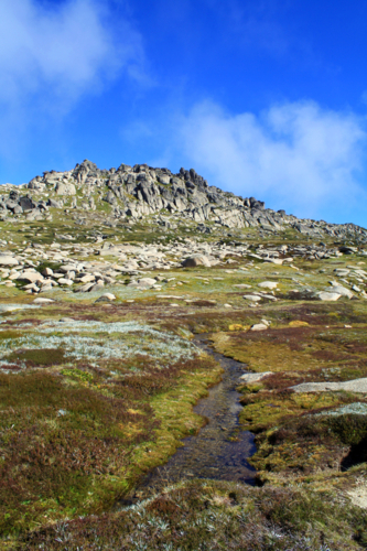 Mountains with small mossy river and blue sky - Australian Stock Image
