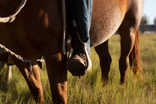 Mounted on the horse with his feet in the stirrups - Australian Stock Image
