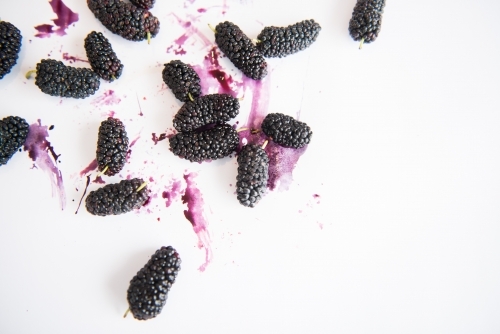 Mulberries - Australian Stock Image