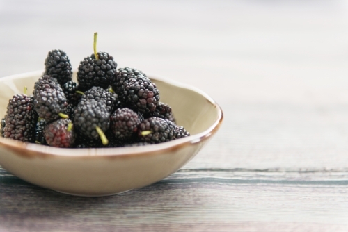 Mulberries In a bowl - Australian Stock Image