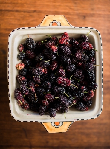 Mulberries in a dish on wooden bench