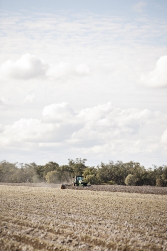 Mulching cotton stubble - Australian Stock Image