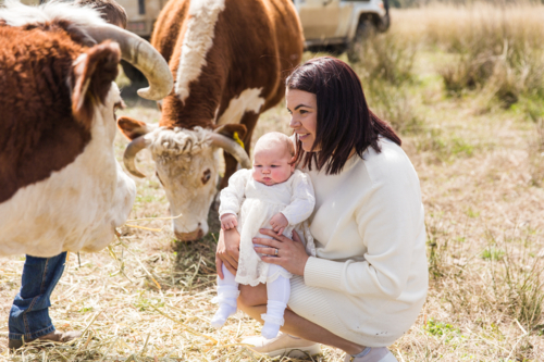 Mum crouching with daughter on lap smiling at Hereford cattle on property - Australian Stock Image